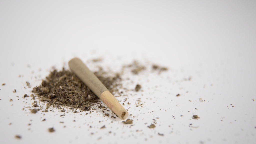 Can Marijuana Charges Be Expunged in Florida?